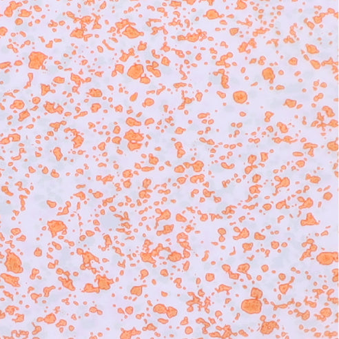 CD1 Transparent Orange Dots