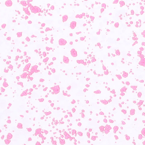 CD5 Transparent Pink Dots